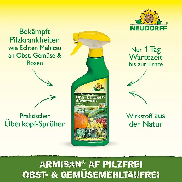 Neudorff Pilzfrei Armisan Obst- & Gemüse-MehltauFrei AF - 500 ml - Produktfoto von Armisan AF Pilzfrei Obst- & Gemügemehltaüfrei. Bekämpft Pilzkrankheiten an Obst, Gemüse & Rosen. Wirkt aus der Natur.