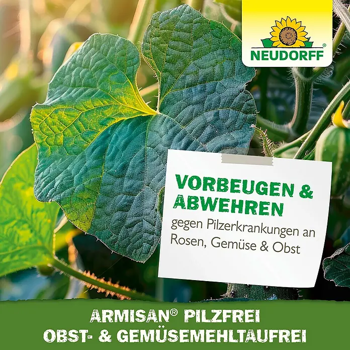 Neudorff Pilzfrei Armisan Obst- & Gemüse-MehltauFrei - 50 g - Neudorff Armisan Bio-Pilzfrei für Obst, Gemüse & Rosen.