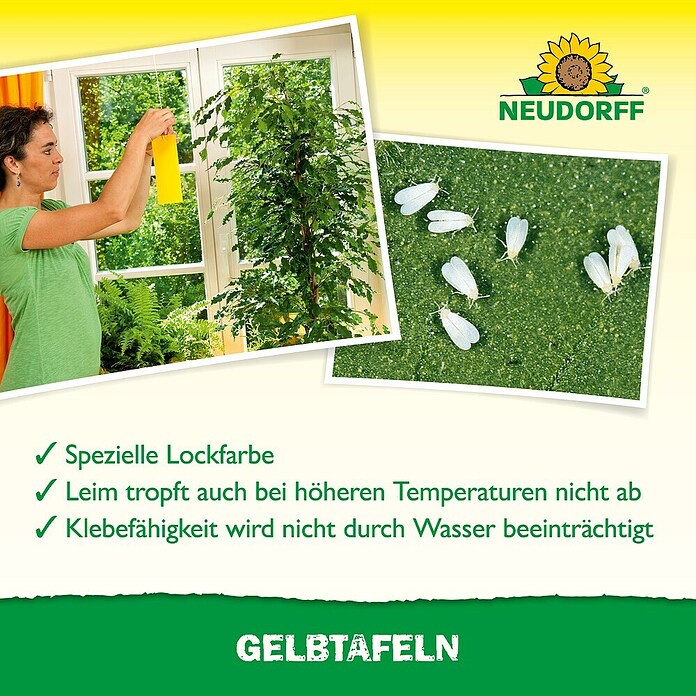 Neudorff Gelbtafeln (7 Stk.)