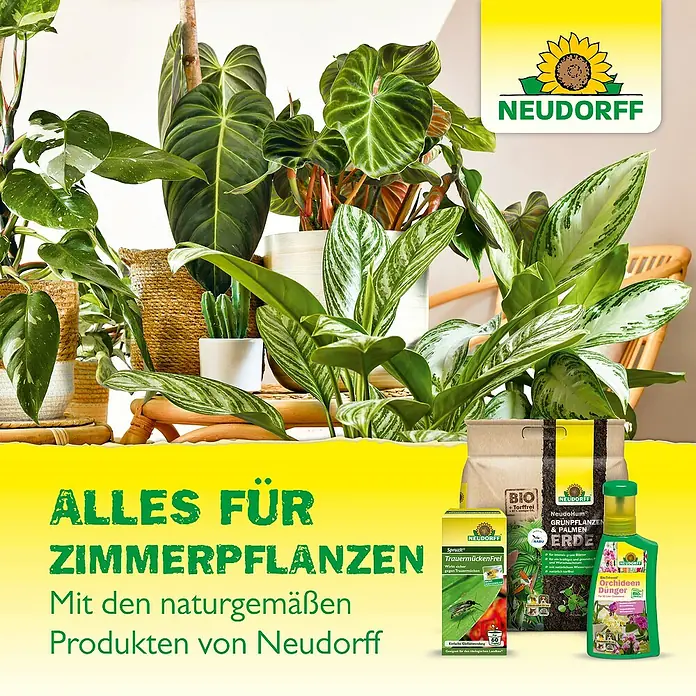 Neudorff Gelb-Sticker - 10 Stk. - Produktbild von Neudorff für Zimmerpflanzen: Pflanzenerde, Dünger und Spruzit Trauermückenfrei.