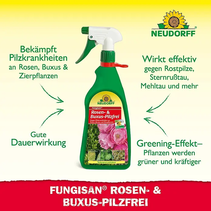 Neudorff Fungisan Rosen- & Zierpflanzen-Pilzfrei - 1 l - Fungisan Rosen- & Buxus-Pilzfrei: Bekämpft Pilzkrankheiten an Rosen, Buxus und Zierpflanzen, mit Greening-Effekt für kräftige Pflanzen.