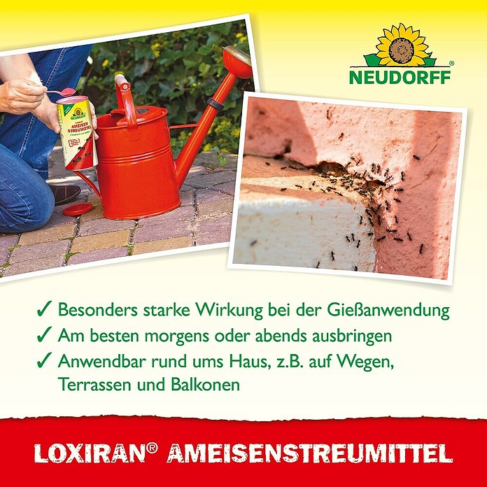 Neudorff Loxiran Ameisen-Mittel S (500 g)