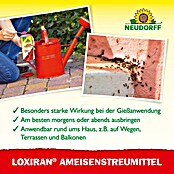 Neudorff Loxiran Ameisen-Mittel S (500 g)