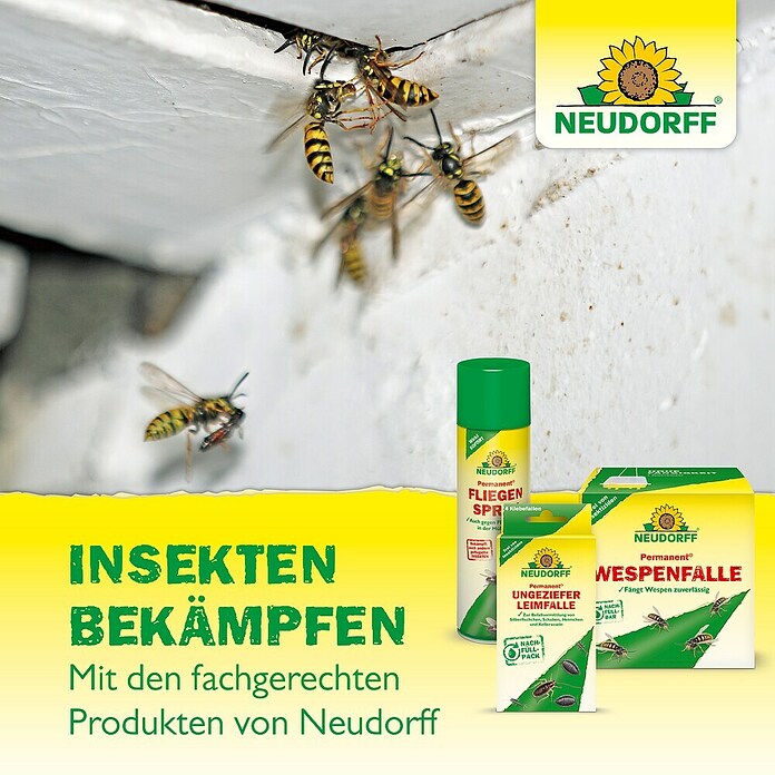 Neudorff Ameisenköder (2 Stk.)