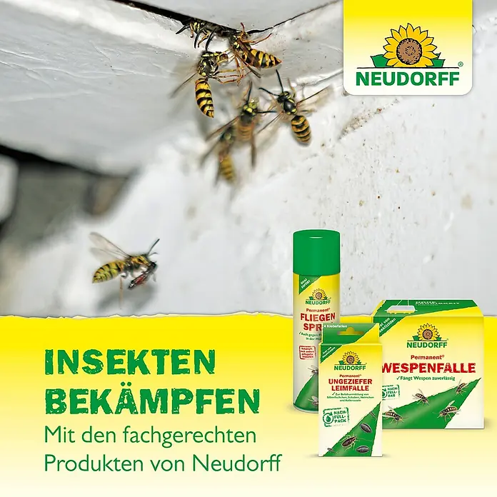 Neudorff Permanent Wespenschaum - 500 ml - Produktbild von Neudorff Insektenbekämpfungsmittel gegen Wespen und Fliegen, inklusive Fliegen-Spray und Wespenfalle für den Außenbereich.
