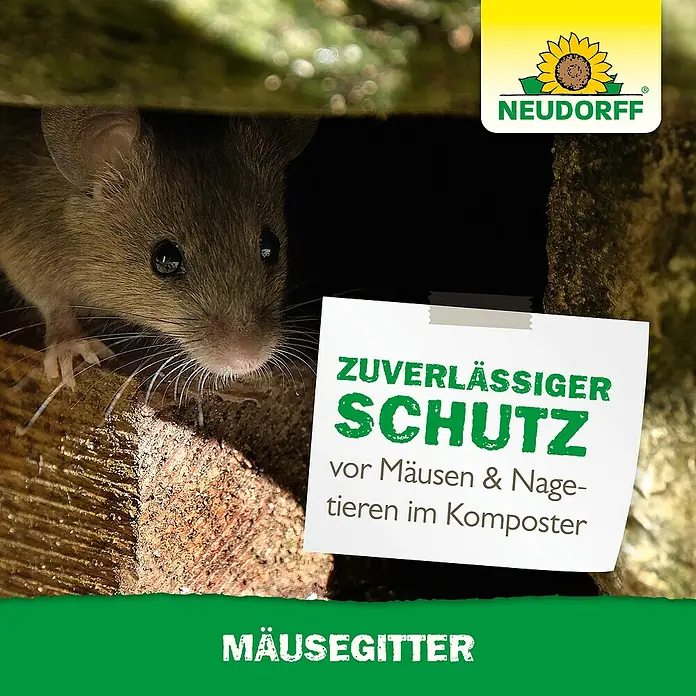 Neudorff Bodenplatte - Passend für: Thermokomposter DuoTherm 530 L - Maus vor einem Neudorff Mäusegitter für Komposter.