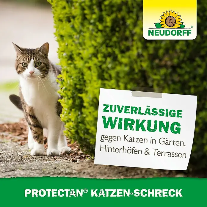 Neudorff Protectan Katzen-Schreck - Max. Anwendungsfläche: 20 m² - Bild einer Katze neben einer Packung Protectan Katzenschreck, einem Produkt zur Katzenabwehr von Neudorff.