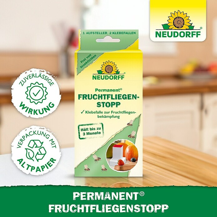 Neudorff Permanent Fruchtfliegen-Falle Fruchtfliegenstopp (3 Stk.) | BAUHAUS