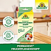 Neudorff Permanent Fruchtfliegen-Falle Fruchtfliegenstopp (3 Stk.) | BAUHAUS