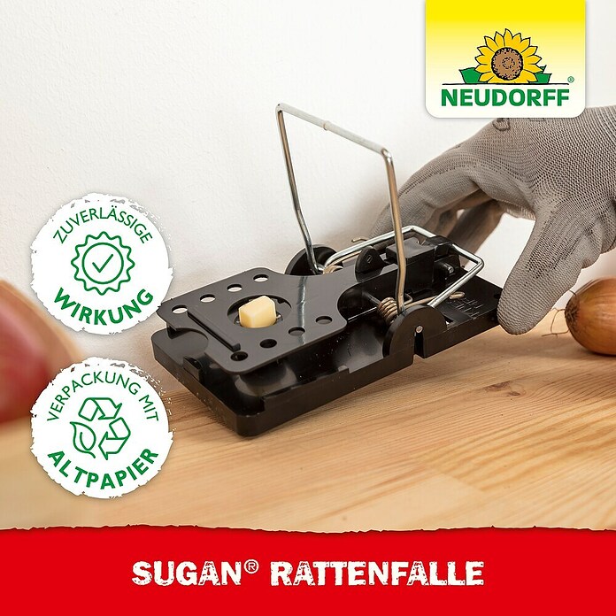 Neudorff Sugan Rattenfalle (Schlagfalle, Kunststoff) | BAUHAUS