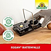Neudorff Sugan Rattenfalle (Schlagfalle, Kunststoff) | BAUHAUS