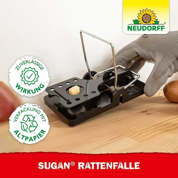 Neudorff Sugan Rattenfalle - Schlagfalle, Kunststoff - Eine schwarze SUGAN® Rattenfalle mit Köder, die von einer behandschuhten Hand auf einer Holzfläche aufgestellt wird.