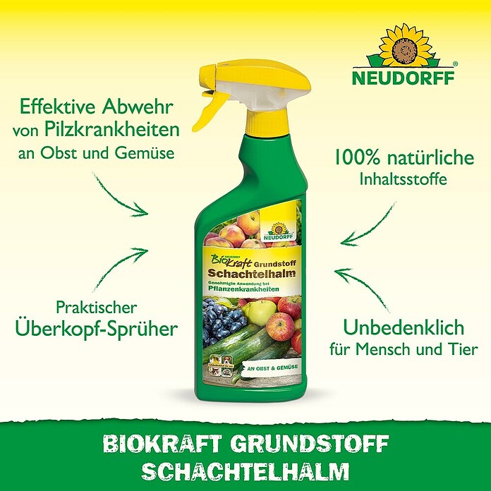 Neudorff BioKraft Grundstoff Schachtelhalm AF (500 ml) | BAUHAUS