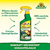 Neudorff BioKraft Grundstoff Schachtelhalm AF (500 ml) | BAUHAUS