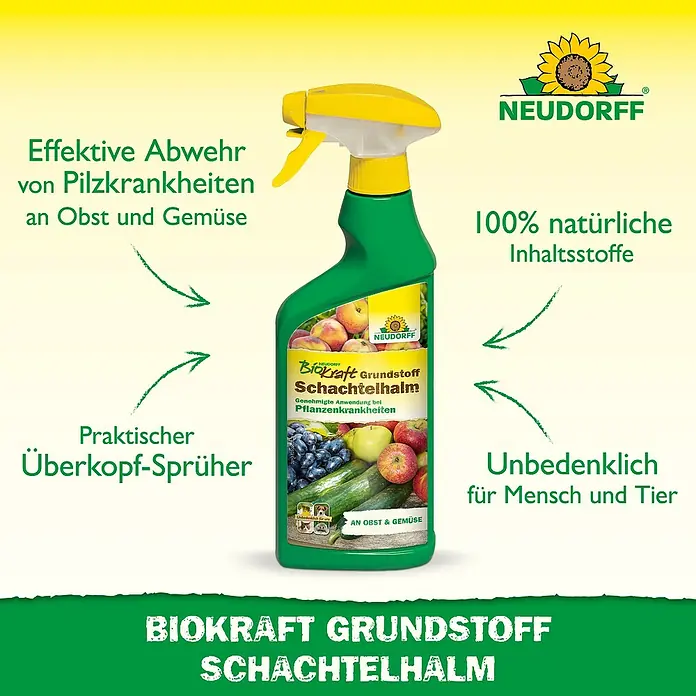 Neudorff BioKraft Grundstoff Schachtelhalm AF - 500 ml - Eine grüne Neudorff Sprühflasche mit gelbem Kopf, etikettiert für effektiven Schutz vor Pilzkrankheiten bei Obst und Gemüse, mit natürlichen Inhaltsstoffen.