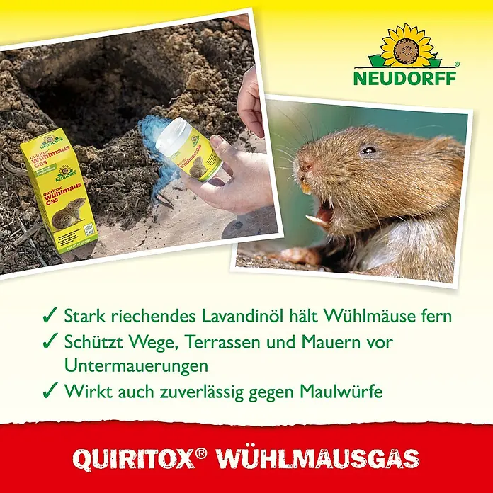 Neudorff Quiritox Wühlmausgas - 2 Stk. - Das Bild zeigt Quiritox Wühlmausgas, ein Produkt zur effektiven Bekämpfung von Wühlmäusen und Maulwürfen im Garten.