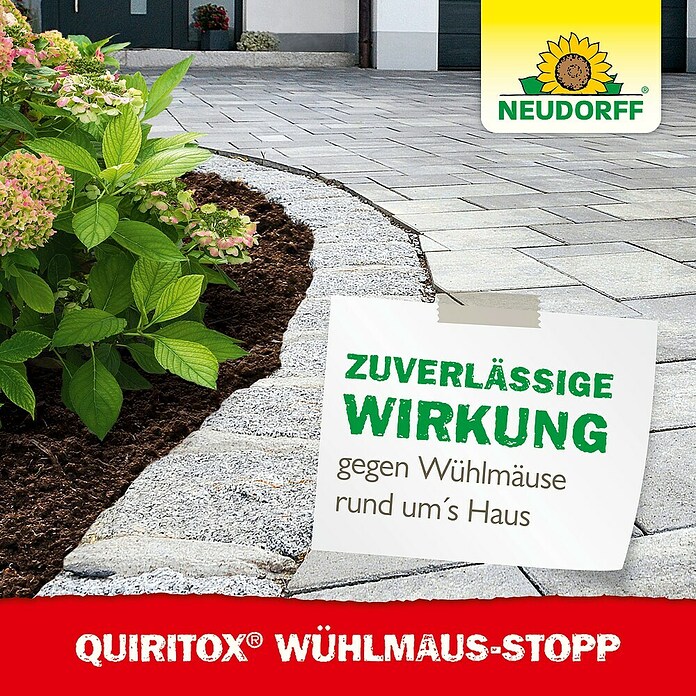 Neudorff Quiritox Wühlmaus-Stopp (200 g) | BAUHAUS