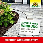 Neudorff Quiritox Wühlmaus-Stopp (200 g) | BAUHAUS