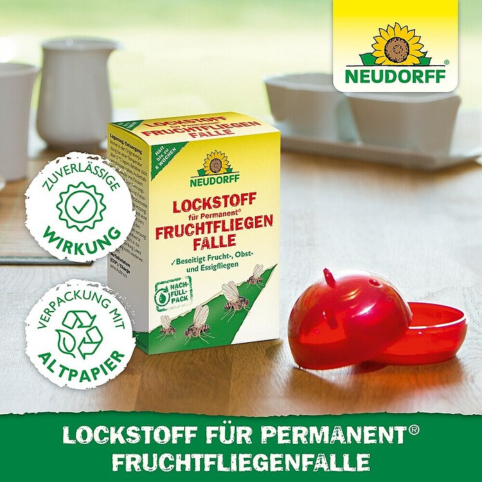 Neudorff Permanent Fruchtfliegen-Falle-Lockstoff (60 ml) | BAUHAUS