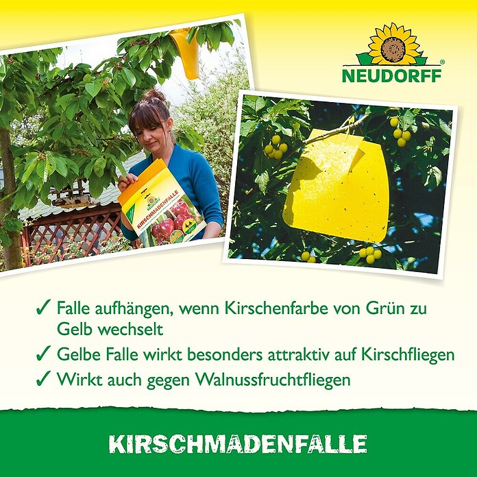 Neudorff Kirschmadenfalle (7 Stk.)
