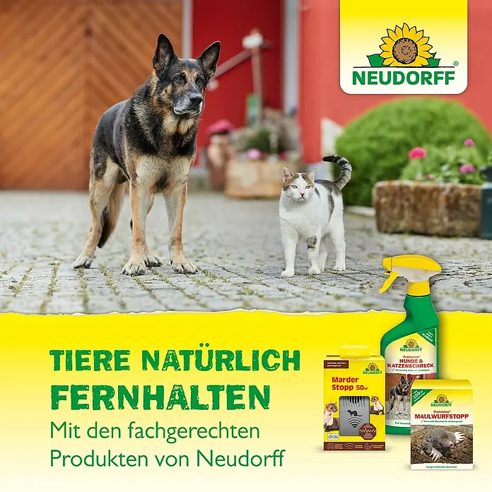 Neudorff Protectan Hunde- & Katzen-Schreck - 500 ml - Neudorff-Produkte zur Tierabwehr: Hunde- und Katzenschreck, Marder- und Maulwurfstopp für einen tierfreien Garten.