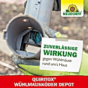 Neudorff Quiritox Wühlmausköder Depot (67 x 248 x 275 mm) | BAUHAUS