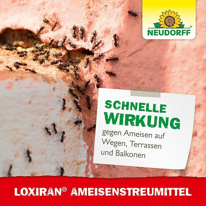 Neudorff Loxiran Ameisen-Mittel S (500 g)