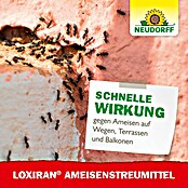 Neudorff Loxiran Ameisen-Mittel S (500 g)