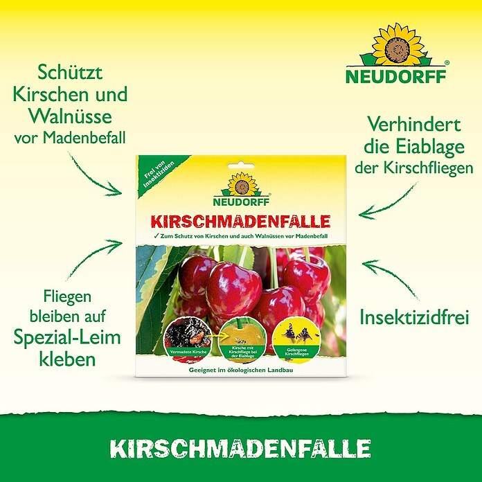 Neudorff Kirschmadenfalle (7 Stk.)