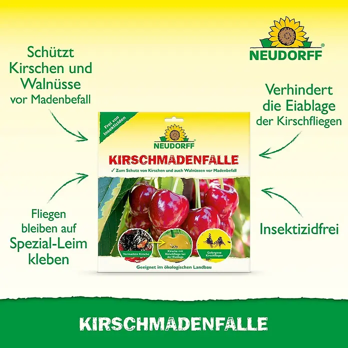 Neudorff Kirschmadenfalle - 7 Stk. - Kirschmadenfalle von Neudorff: Schützt Kirschen und Walnüsse vor Madenbefall, insektizidfrei und geeignet für den ökologischen Landbau.