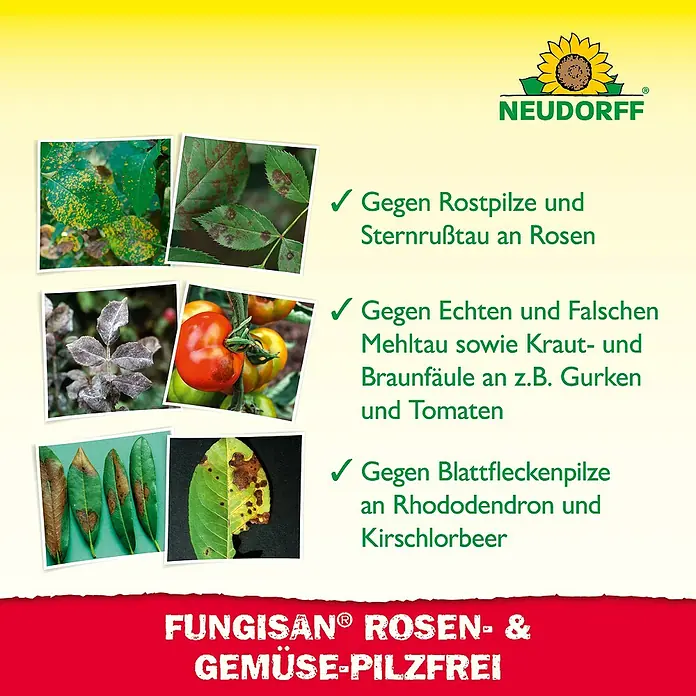 Neudorff Fungisan Rosen- & Gemüse-Pilzfrei - 16 ml - Neudorff Fungisan Rosen- & Gemüse-Pilzfrei: Bekämpft Rostpilze, Sternrußtau, Echten und Falschen Mehltau sowie Blattfleckenpilze an Rosen, Gemüse und Zierpflanzen.