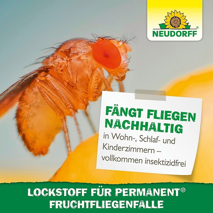 Neudorff Permanent Fruchtfliegen-Falle-Lockstoff (60 ml) | BAUHAUS