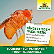 Neudorff Permanent Fruchtfliegen-Falle-Lockstoff (60 ml) | BAUHAUS