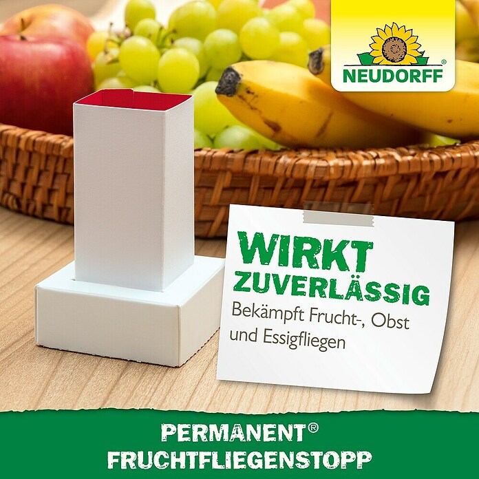 Neudorff Permanent Fruchtfliegen-Falle Fruchtfliegenstopp (3 Stk.) | BAUHAUS