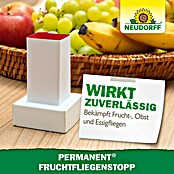Neudorff Permanent Fruchtfliegen-Falle Fruchtfliegenstopp (3 Stk.) | BAUHAUS