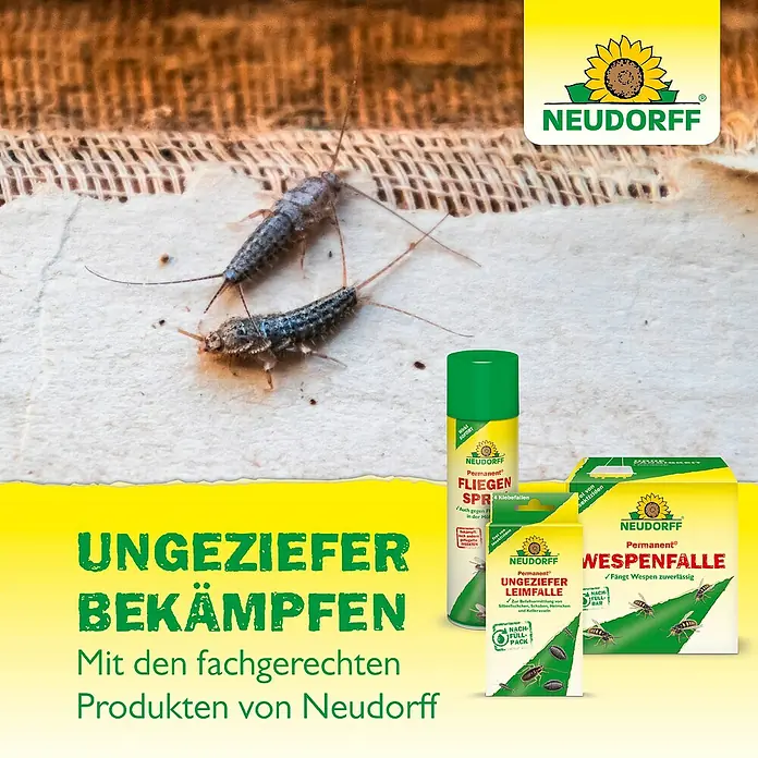 Neudorff Permanent Insekten-Spray Fliegen - 500 ml - Werbung für Neudorff-Produkte zur Schädlingsbekämpfung mit Silberfischen und einem Fliegenspray, einer Ungeziefer-Leimfalle und einer Wespenfalle.