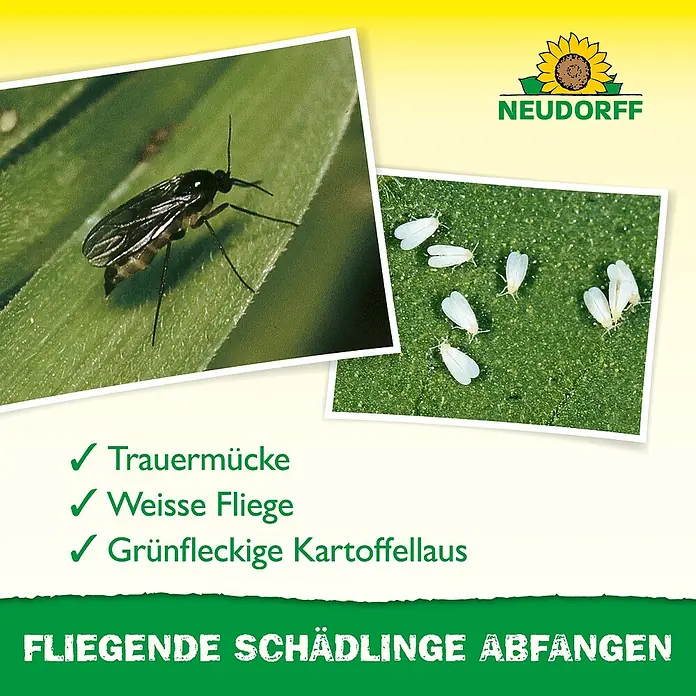 Neudorff Gelb-Sticker - 10 Stk. - Bild von Neudorff-Produkten zur Bekämpfung von Trauermücken, Weißer Fliege und Grünfleckiger Kartoffelblattlaus.