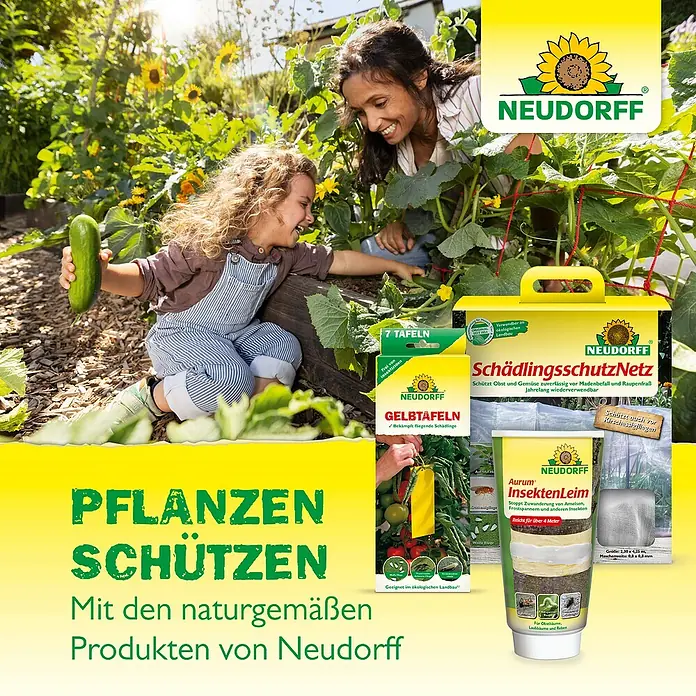 Neudorff Raupen- & Ameisenleimring - 5 m - Neudorff Pflanzenschutz-Produkte: Gelbtafeln gegen fliegende Schädlinge, Schädlingsschutznetz, Aurum Insektenleim für Bäume und Reben.