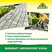 Neudorff BioKraft Grundstoff Essig AF (1 l) | BAUHAUS
