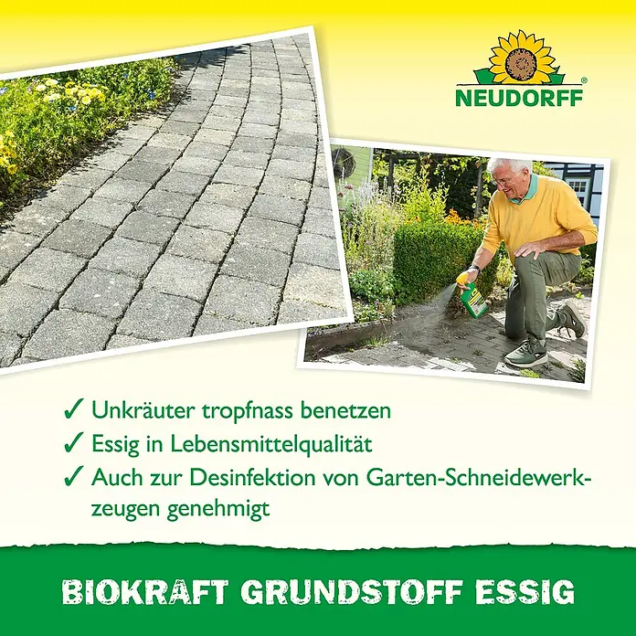 Neudorff BioKraft Grundstoff Essig AF - 1 l - Ein Mann besprüht Unkraut auf einem Pflasterweg mit Neudorff BIOKRAFT GRUNDSTOFF ESSIG aus einer grünen Sprühflasche.