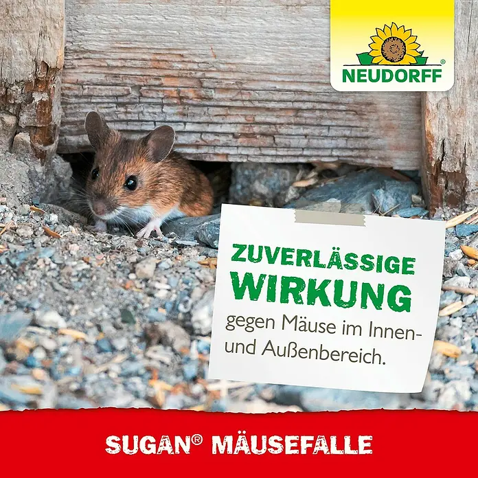 Neudorff Sugan Mausefalle - Schlagfalle, Kunststoff - Eine Maus vor einem Holzstapel mit einem Schild, das auf zuverlässige Sugan Mäusefallen hinweist.