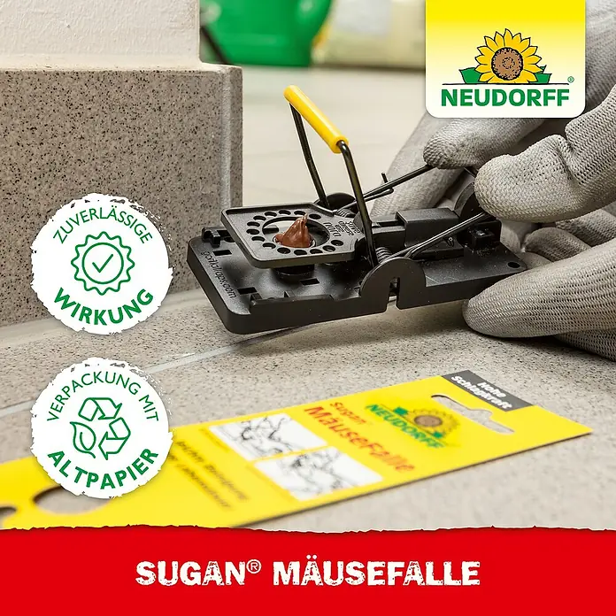 Neudorff Sugan Mausefalle - Schlagfalle, Kunststoff - Nahaufnahme einer Sugan® Mausefalle von Neudorff, bereit für den Einsatz. Wirksame und zuverlässige Schädlingsbekämpfung im Haus.