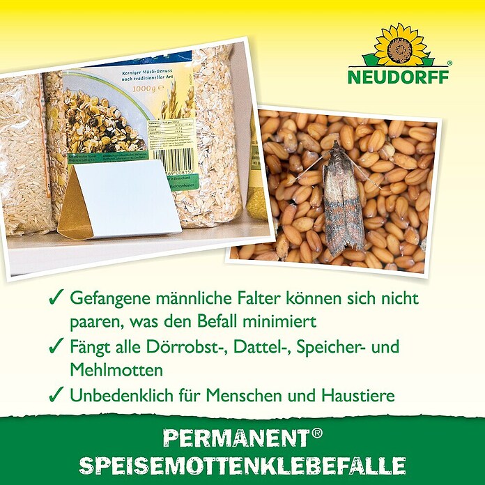 Neudorff Permanent Lebensmittelmottenfalle (3 Stk.) | BAUHAUS