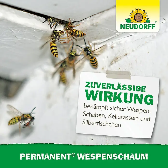 Neudorff Permanent Wespenschaum - 500 ml - Ein Bild von Wespen in einem Haus, das mit PERMANENT® Wespenschaum behandelt wurde. Zuverlässige Wirkung gegen Wespen, Schaben und Silberfischchen.