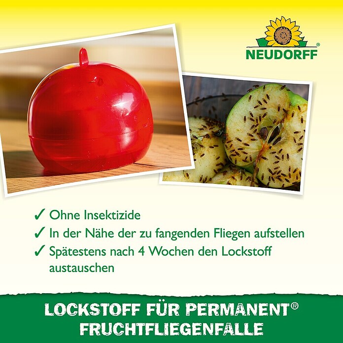 Neudorff Permanent Fruchtfliegen-Falle-Lockstoff (60 ml) | BAUHAUS