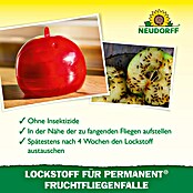 Neudorff Permanent Fruchtfliegen-Falle-Lockstoff (60 ml) | BAUHAUS