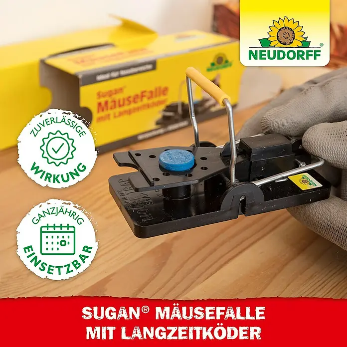 Neudorff Sugan Mausefalle mit Langzeitköder - Schlagfalle, Kunststoff - Schwarze Mausefalle mit blauem Köder, von einer behandschuhten Hand gehalten, und ihre gelbe Produktbox im Hintergrund.