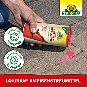 Neudorff Loxiran Ameisen-Mittel S (500 g)