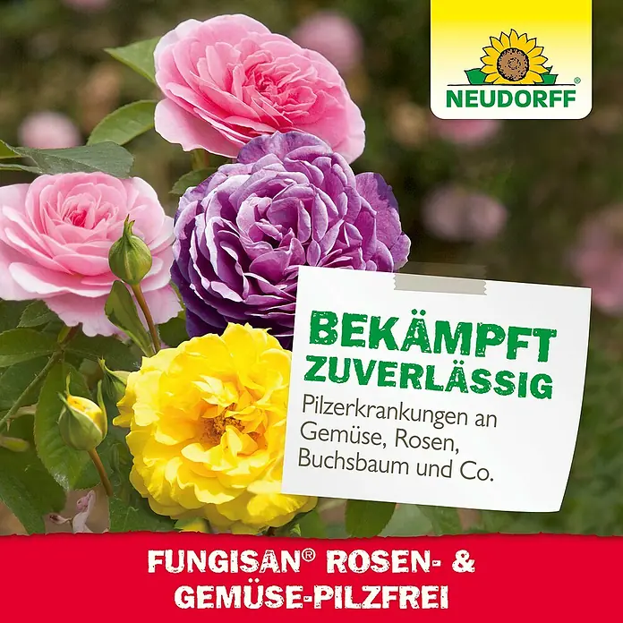 Neudorff Fungisan Rosen- & Gemüse-Pilzfrei - 16 ml - Mehrfarbige Rosen mit Neudorff Fungisan Rosen- & Gemüse-Pilzfrei, das Pilzkrankheiten an Gemüse, Rosen und Buchsbaum zuverlässig bekämpft.
