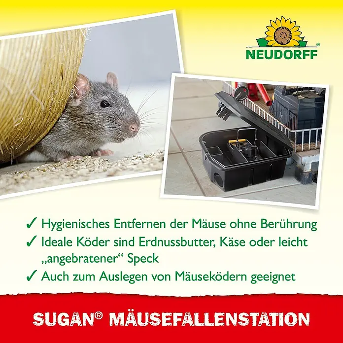 Neudorff Sugan Mausefalle FallenStation - Schlagfalle, Kunststoff - Schwarze Kunststoff-Mausefallenstation mit offener Klappe, eine Maus nahe Futter, und Text zu hygienischer Mäuseentfernung.